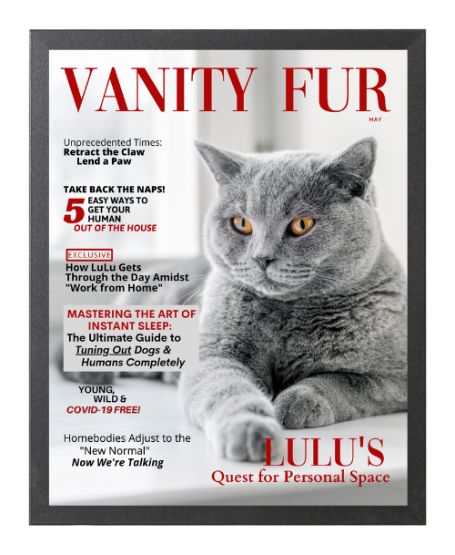 Framed Funny Personalized Magazine Style Cat Portrait - Quarantined Cat - Vanity Fur By Gina - DOGUE By Gina