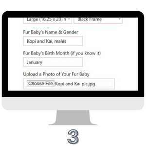 picture of how to customize photo with pet name, gender, birth month, how to upload photo from files or photos on desktop or mobile