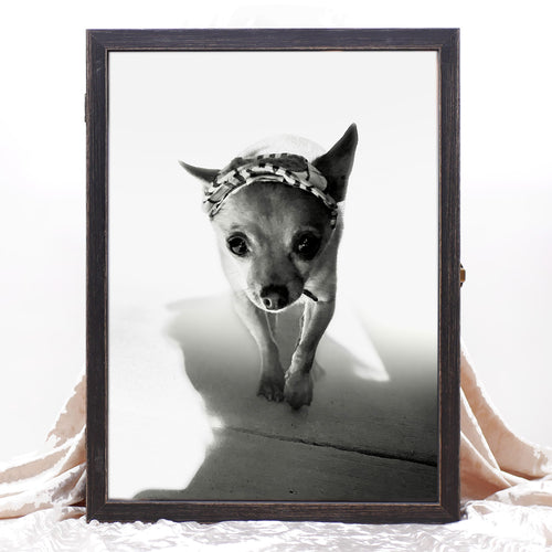 Pet Memorial Wooden Keepsake Box - DOGUE By Gina