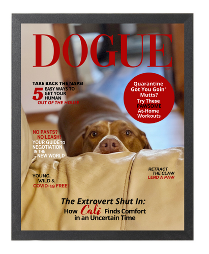 Personalized Magazine Style Dog Portrait (Framed): Quarantine Theme - DOGUE By Gina